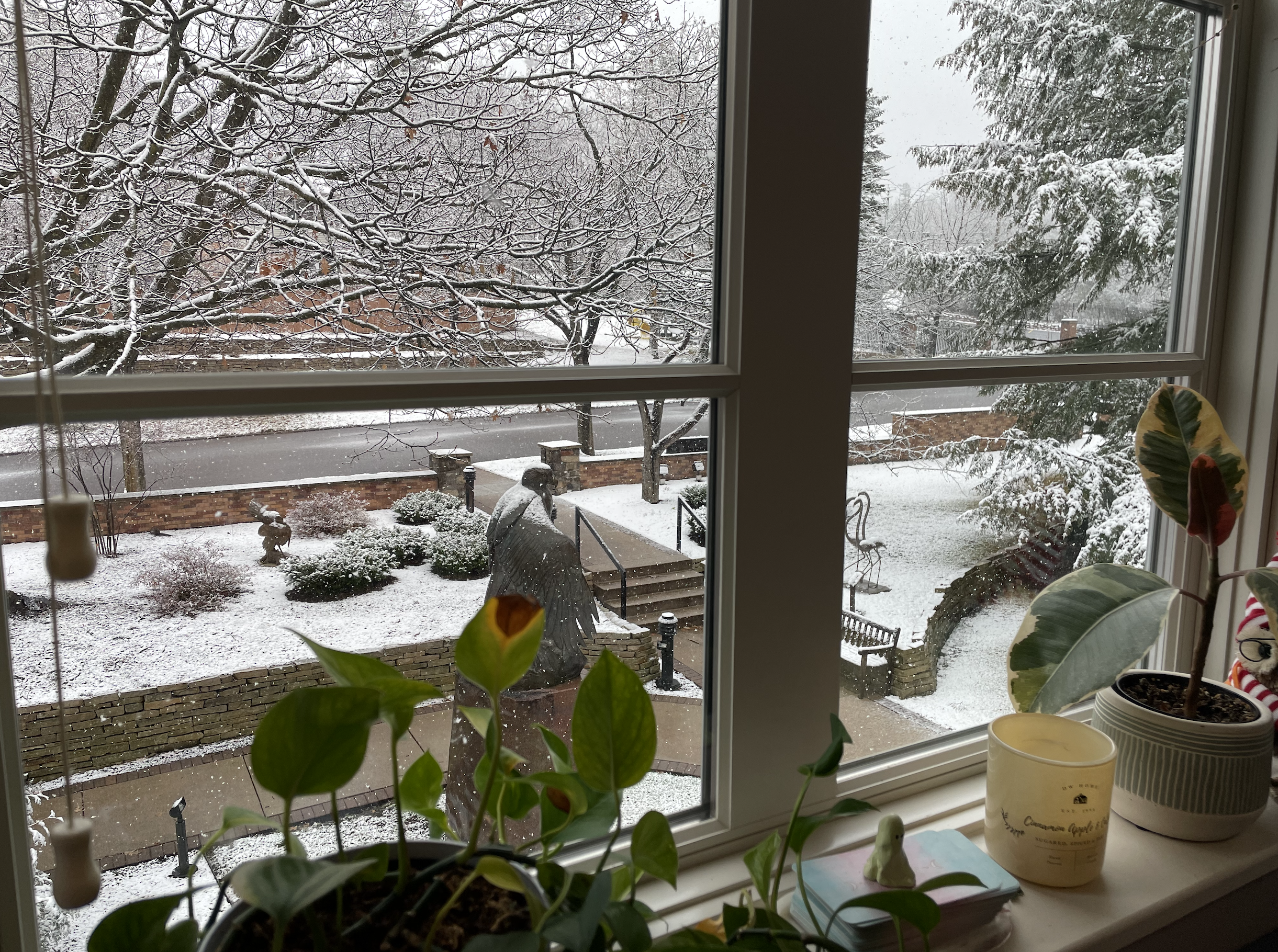 The first snowfall at the Woodson Art Museum from the window of Emily Wesenick's office.